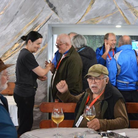Pensiunea Laura Chiscau Zewnętrze zdjęcie